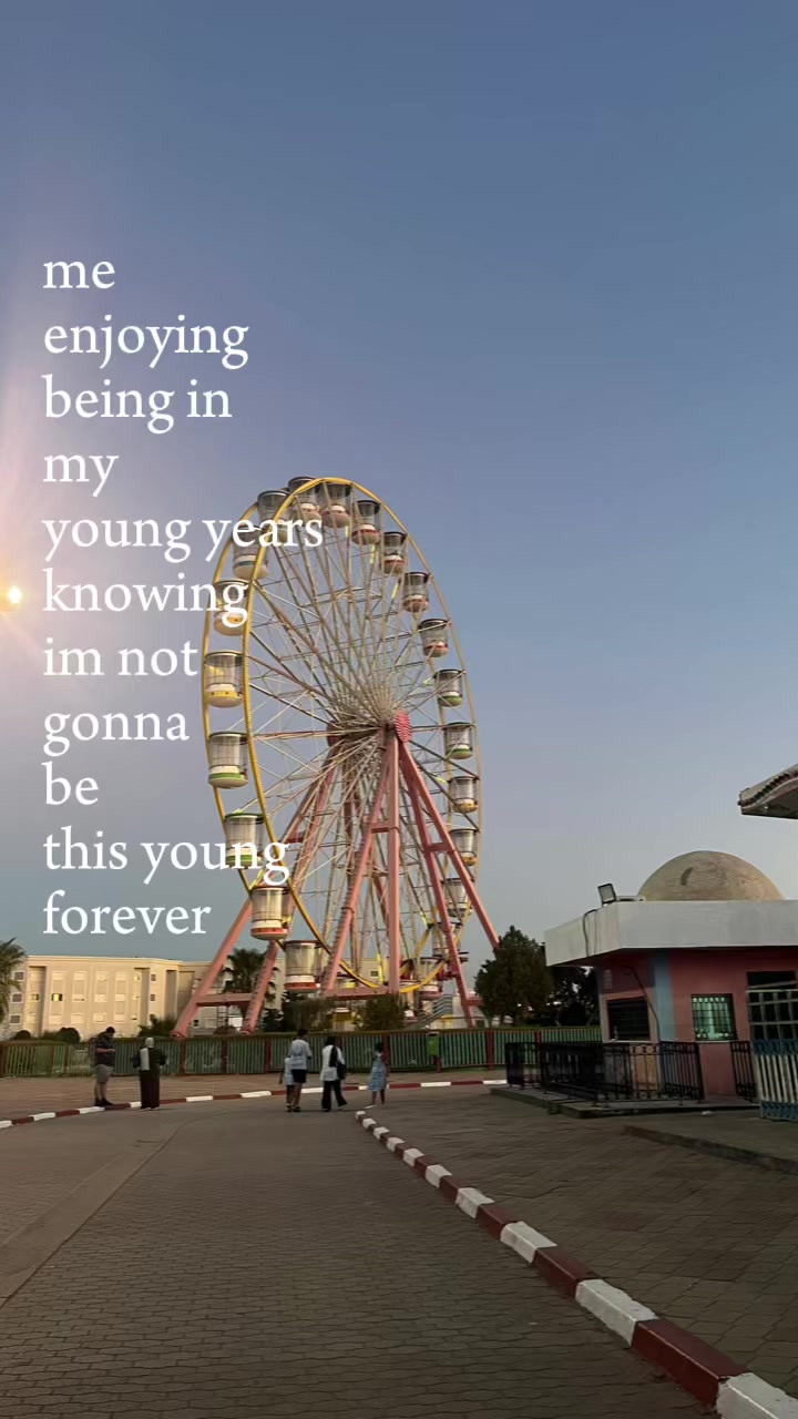@Lily🐻🦢