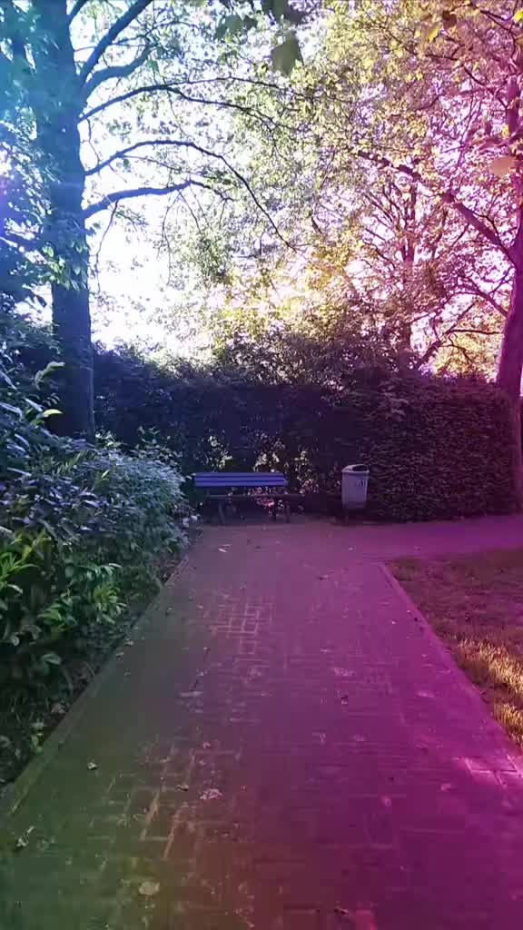 @🏳️&zwj;🌈EhKurz🏳️&zwj;🌈
