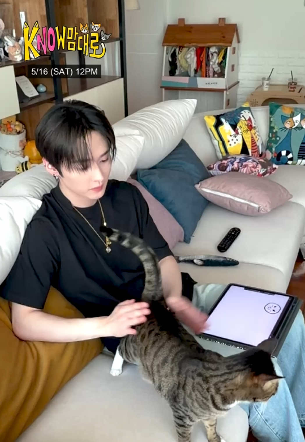 @Stray Kids