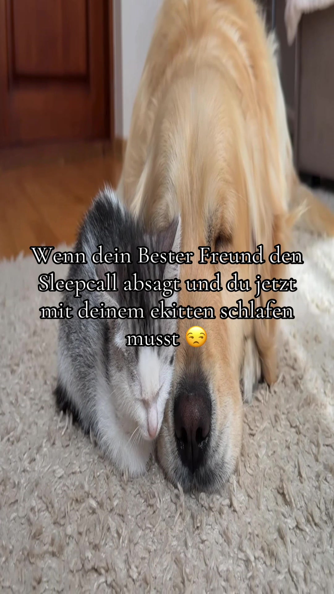 @Eierkopfsalat