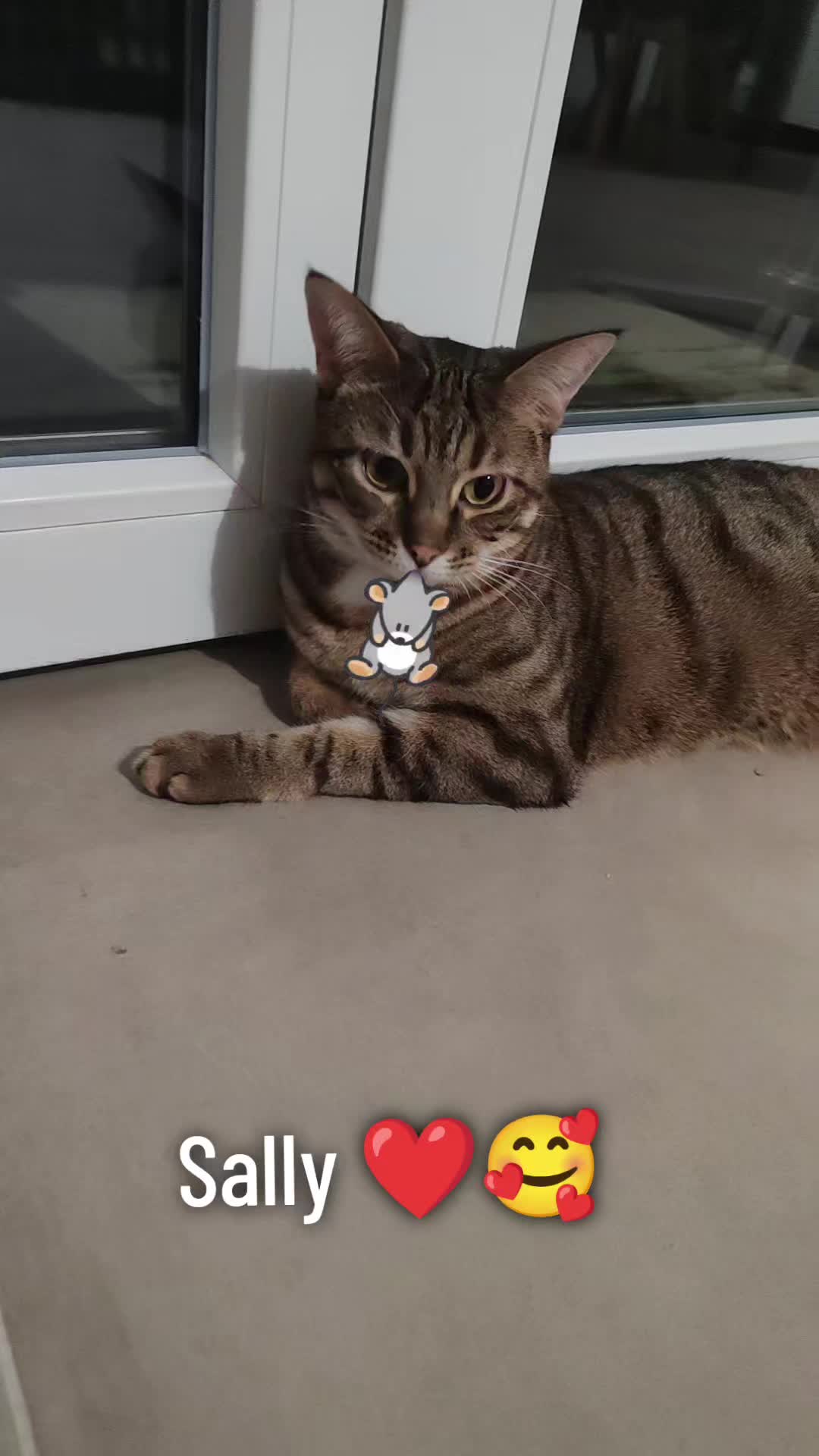 @famillesdu13
