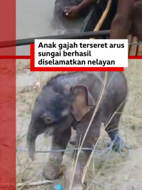 @bbcnewsindonesia