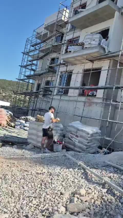 @Mesut