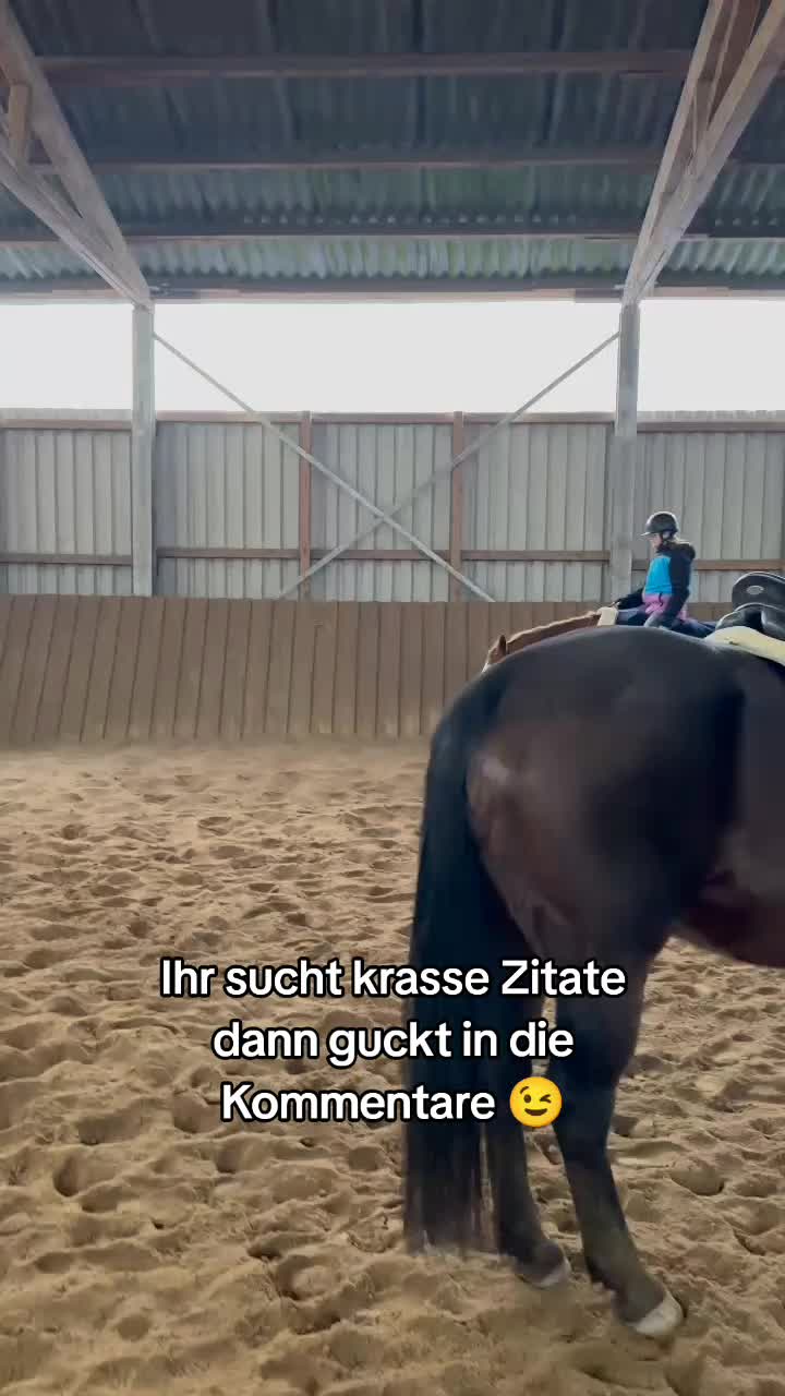@Horses 🫶🌺