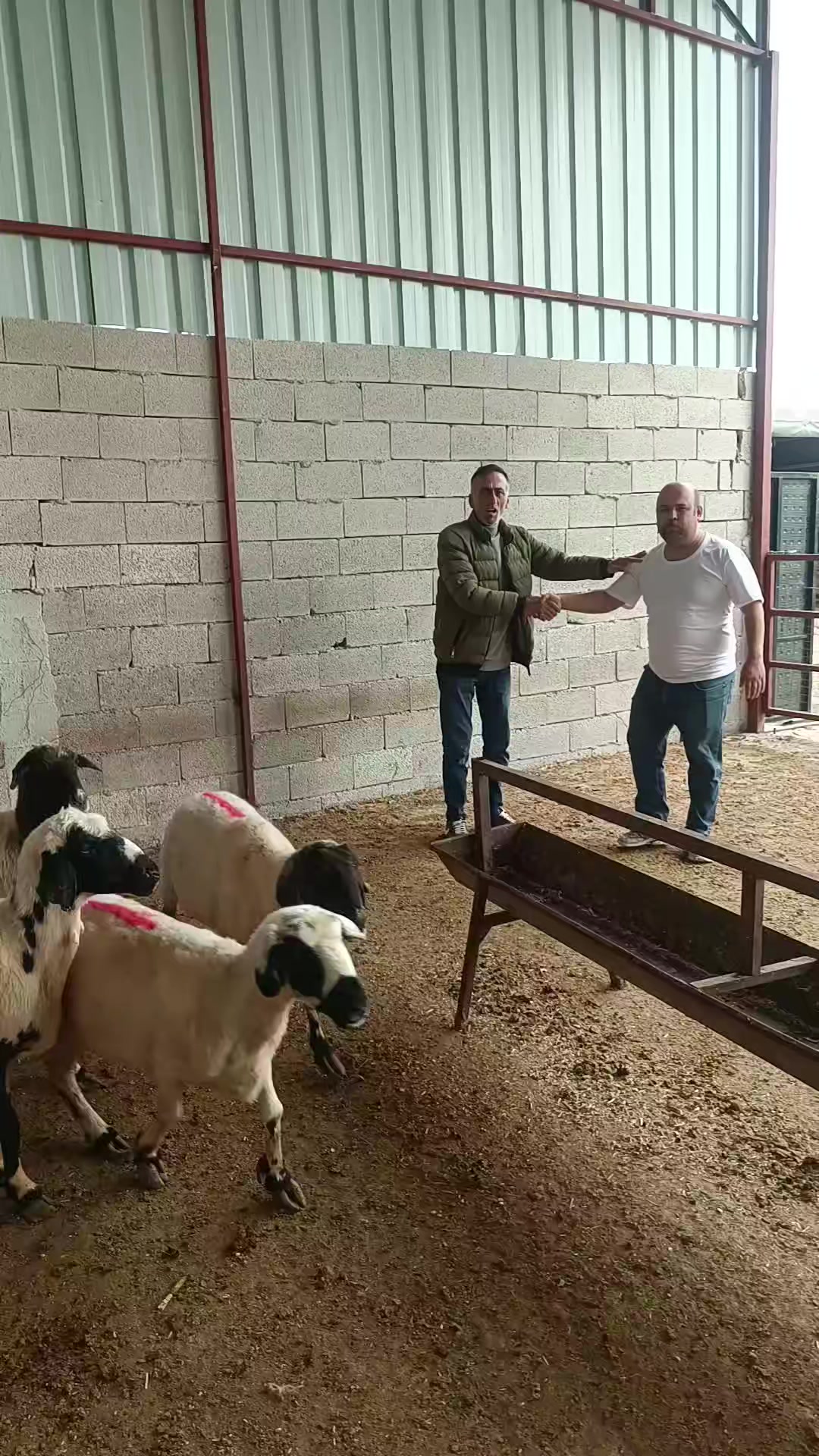@ŞİRKET
