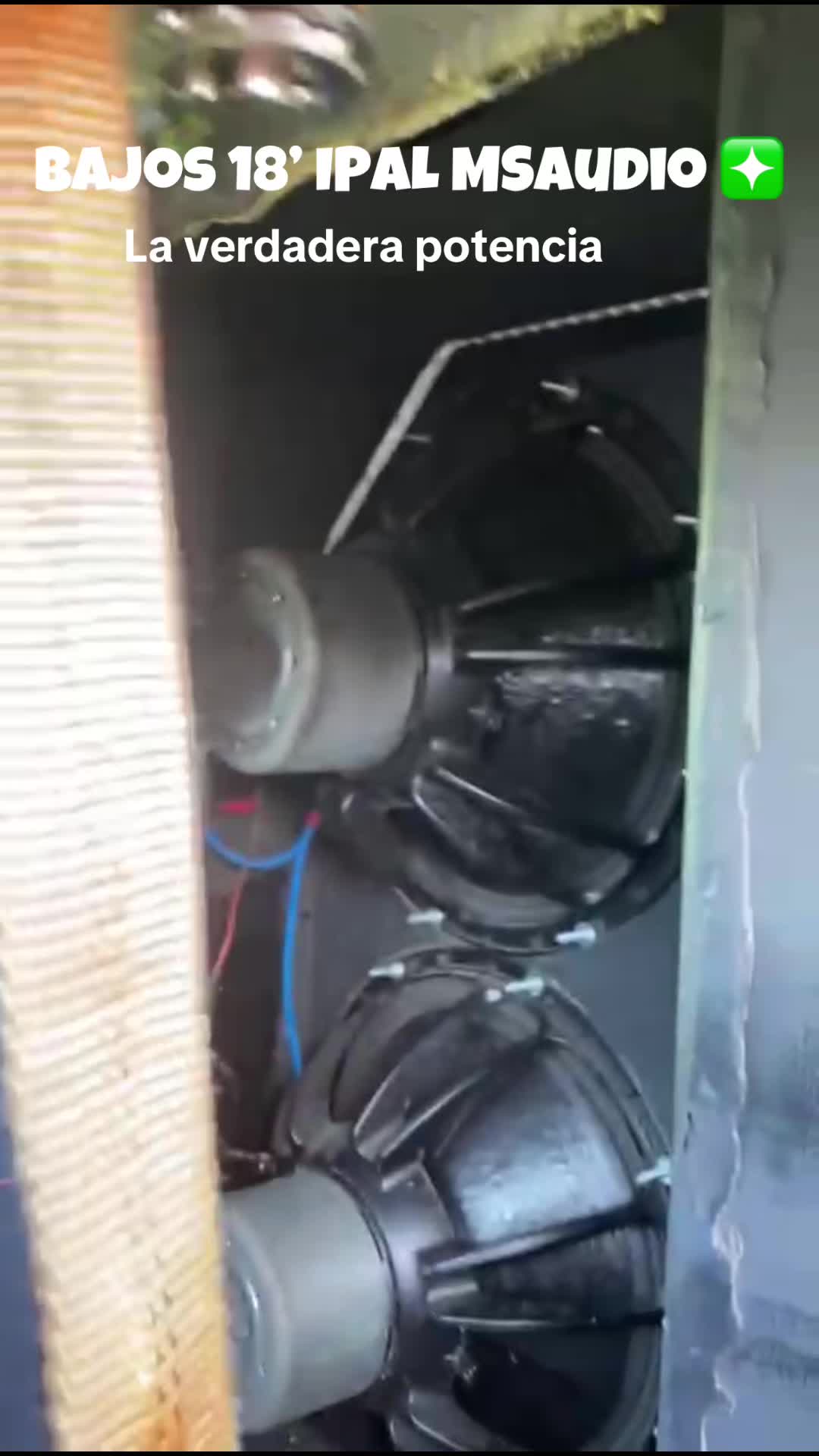 @MSaudio