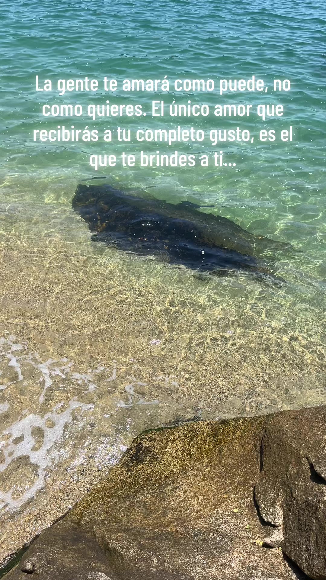 @andres2212