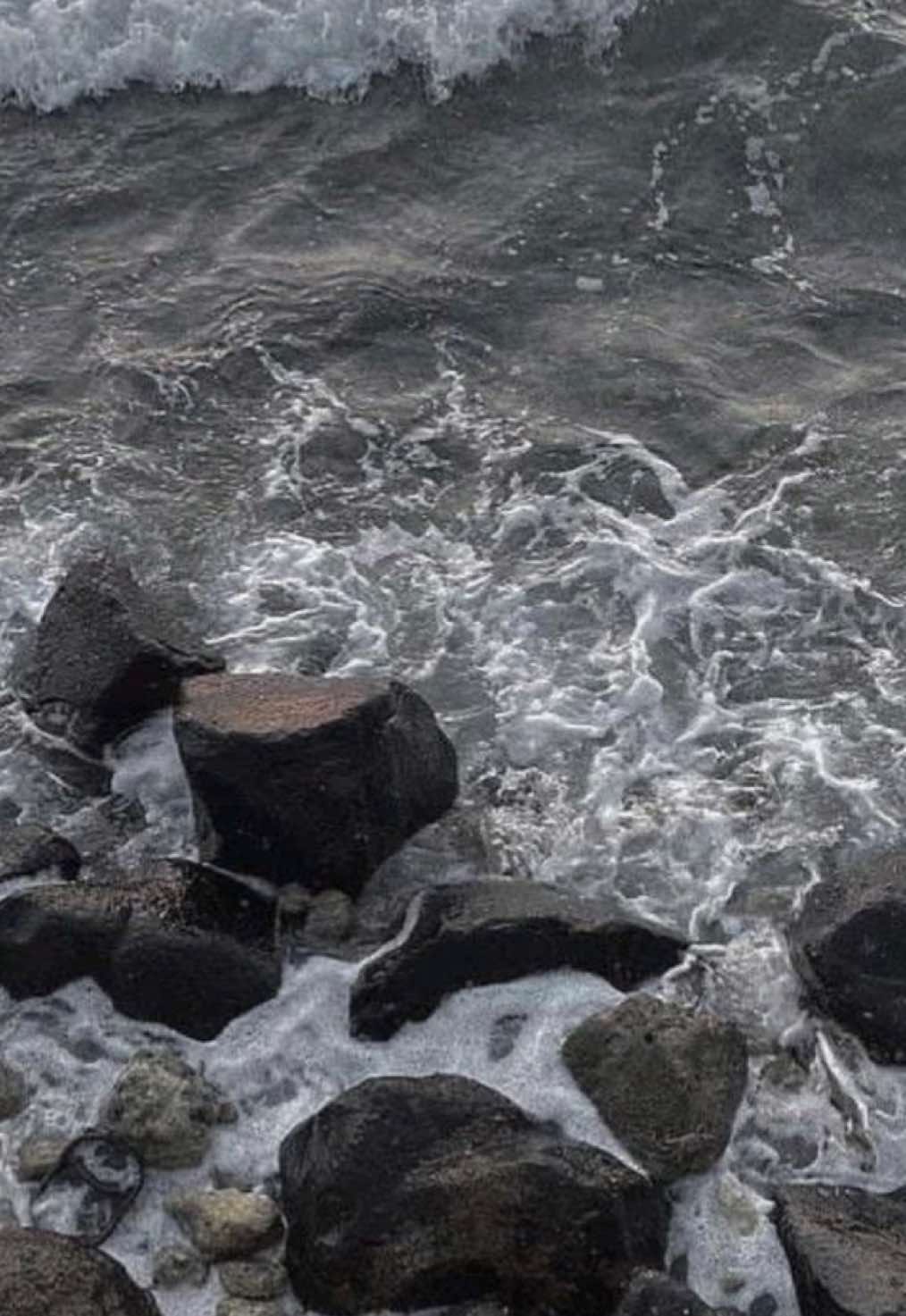 @đŠđđđ¸đđśđđđ¤đˇď¸