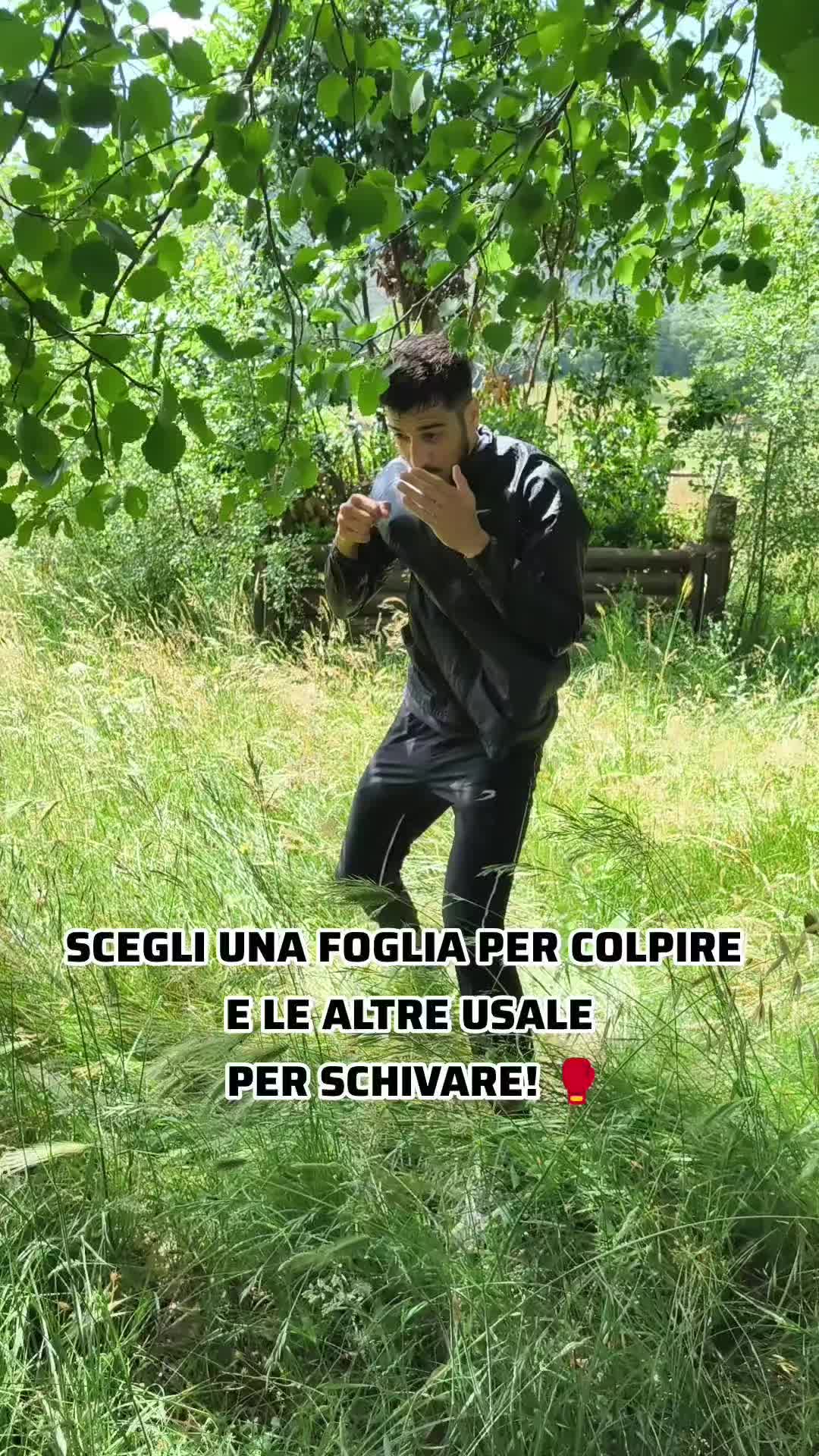 @UrsuDenisBoxeAcademy