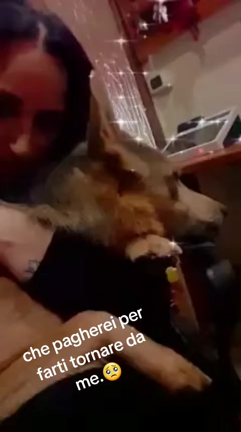 @rosapiccirillo