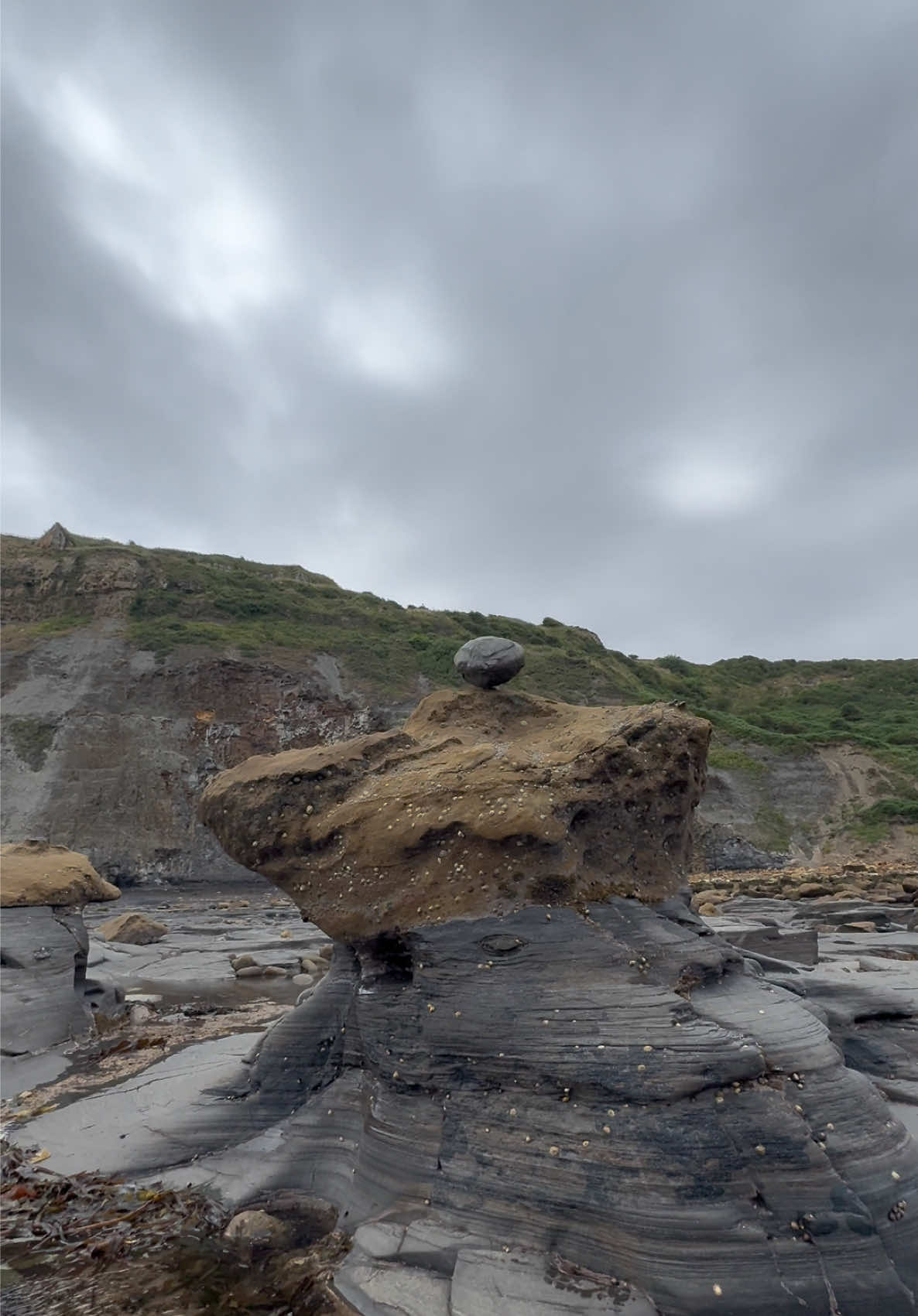 @yorkshire.fossils