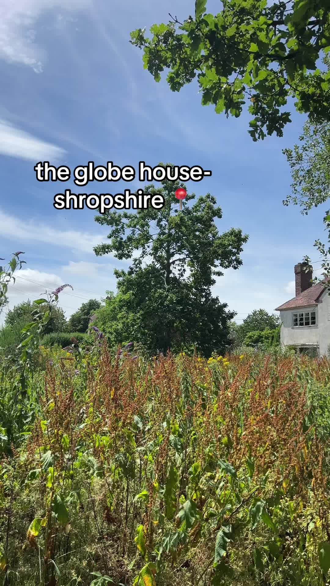 @H.telford🏚️