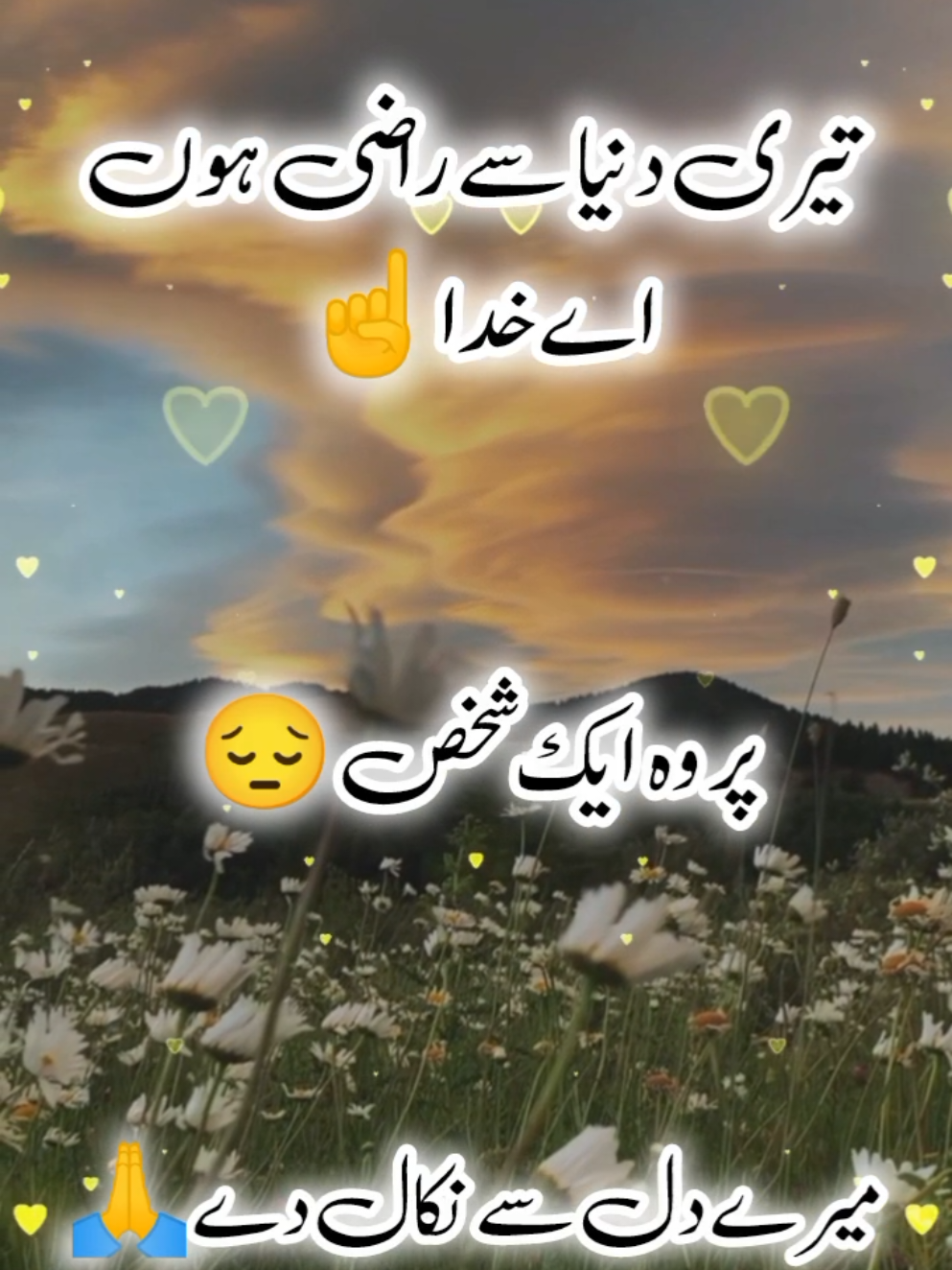 @اردو شاعری 🦋