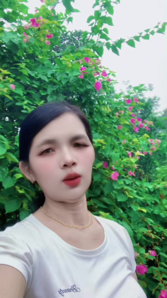 @Mai Vấn