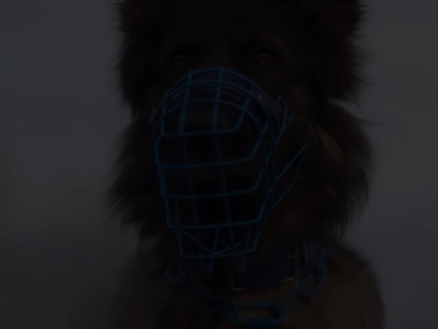 @germanshepherdfan01