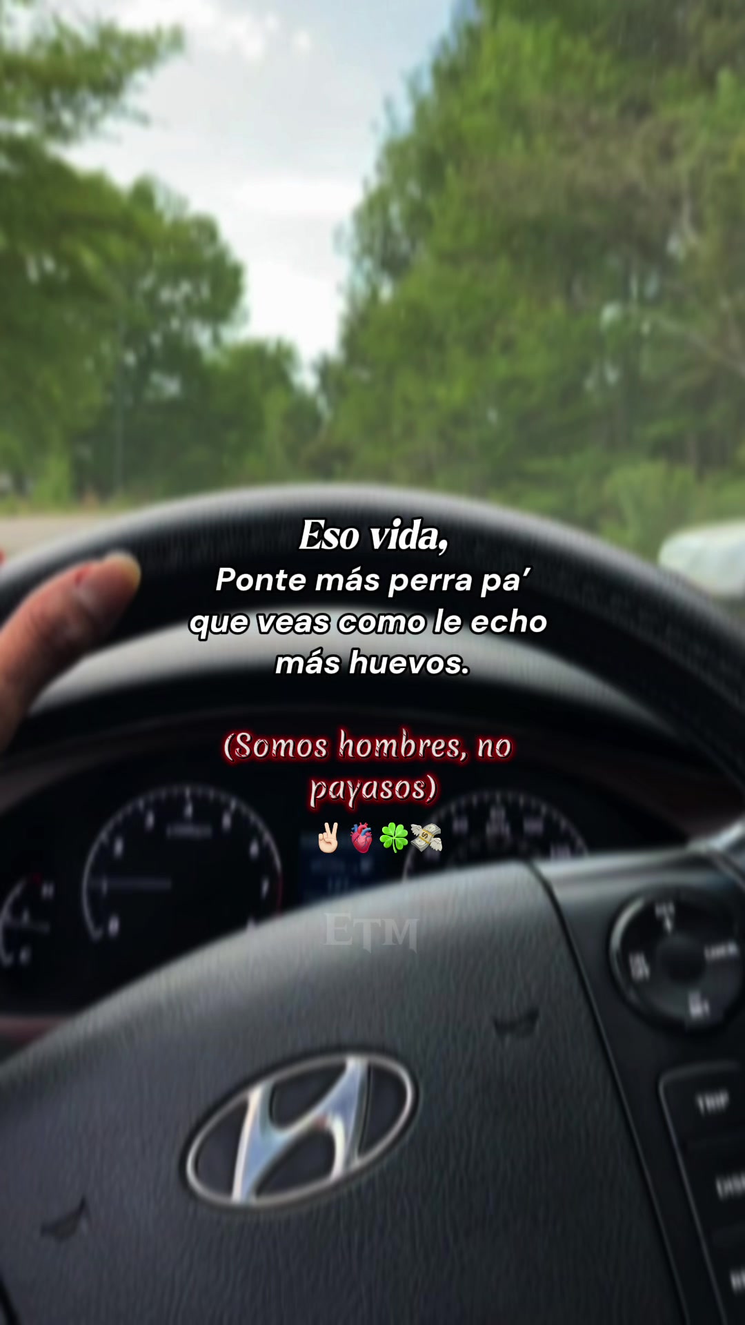 @David 🇪🇨🇺🇸