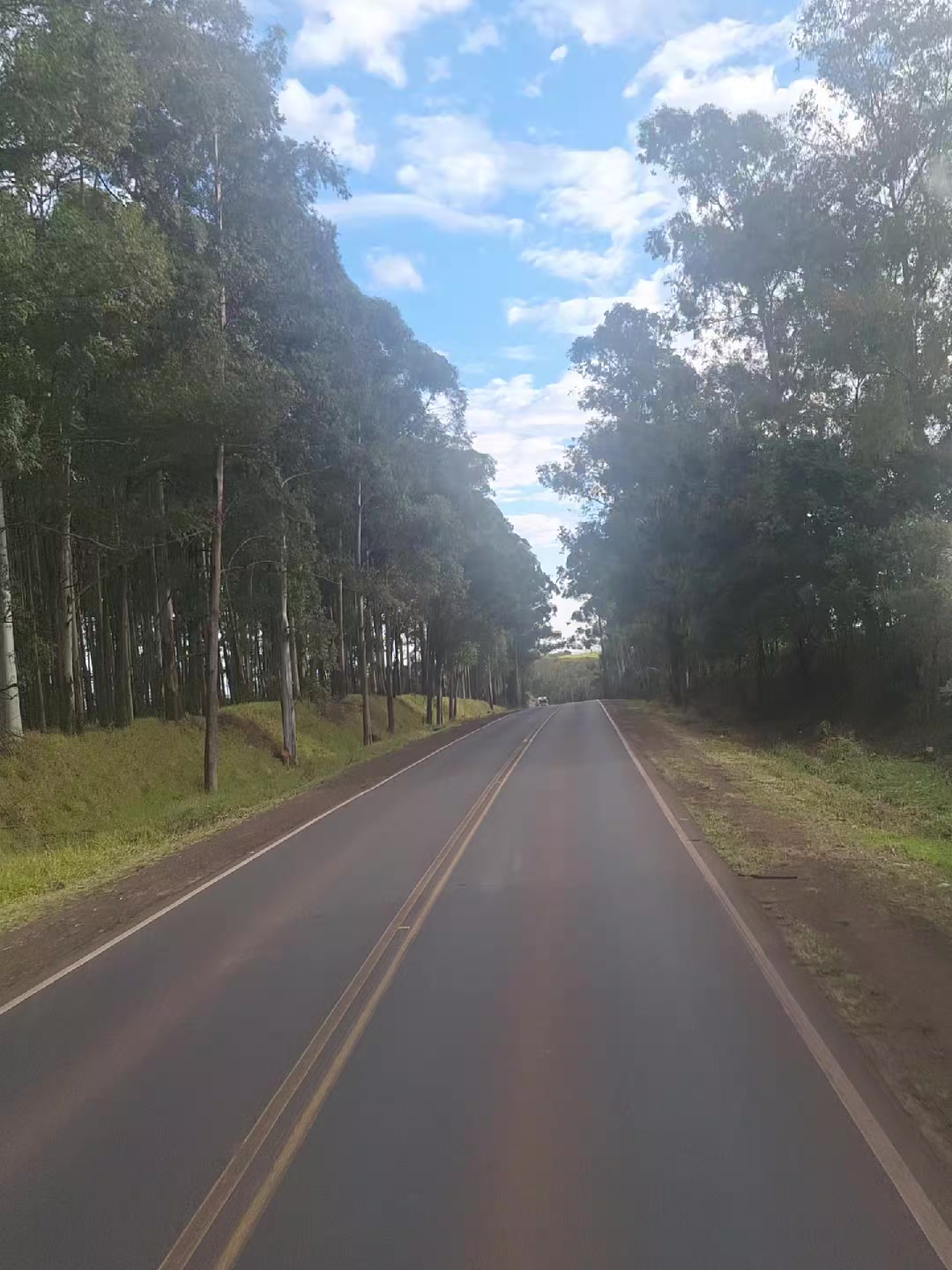 @Mary Vyeira tamanho