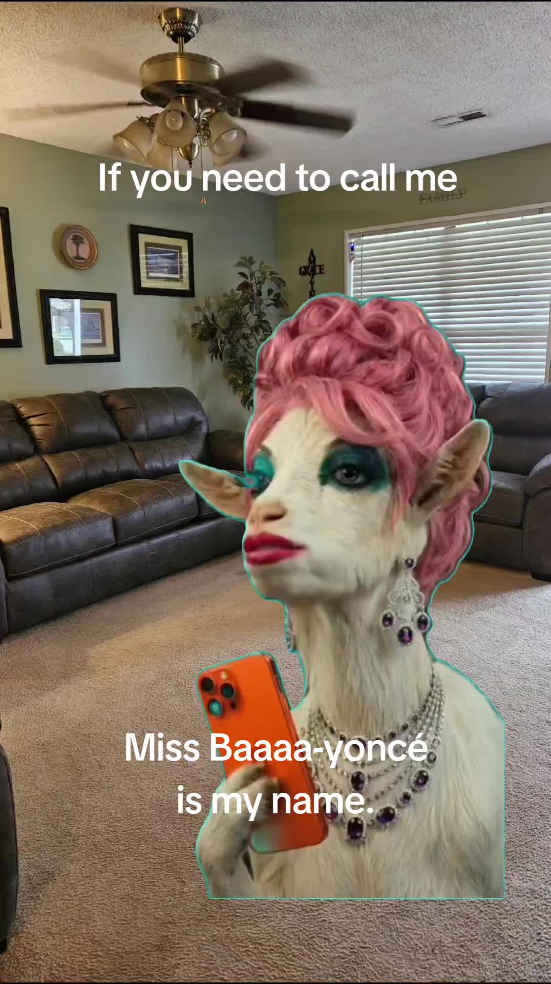 @MagaDawn063