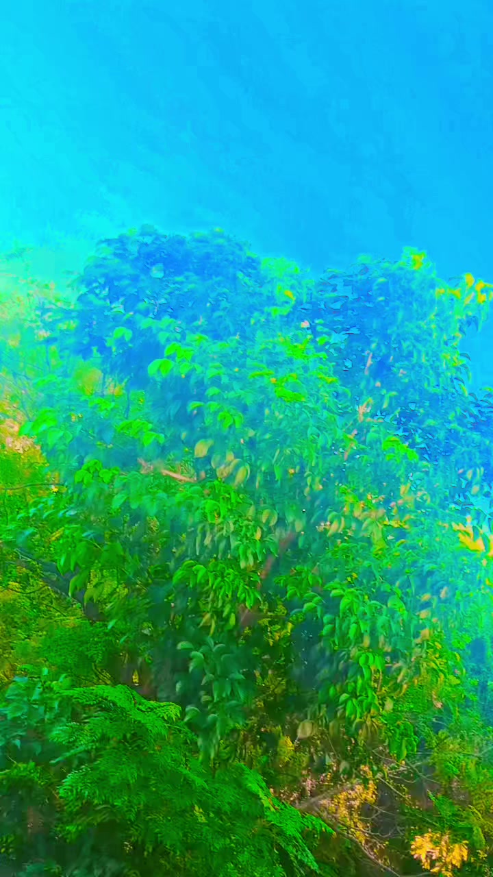 @Asim🇵🇰