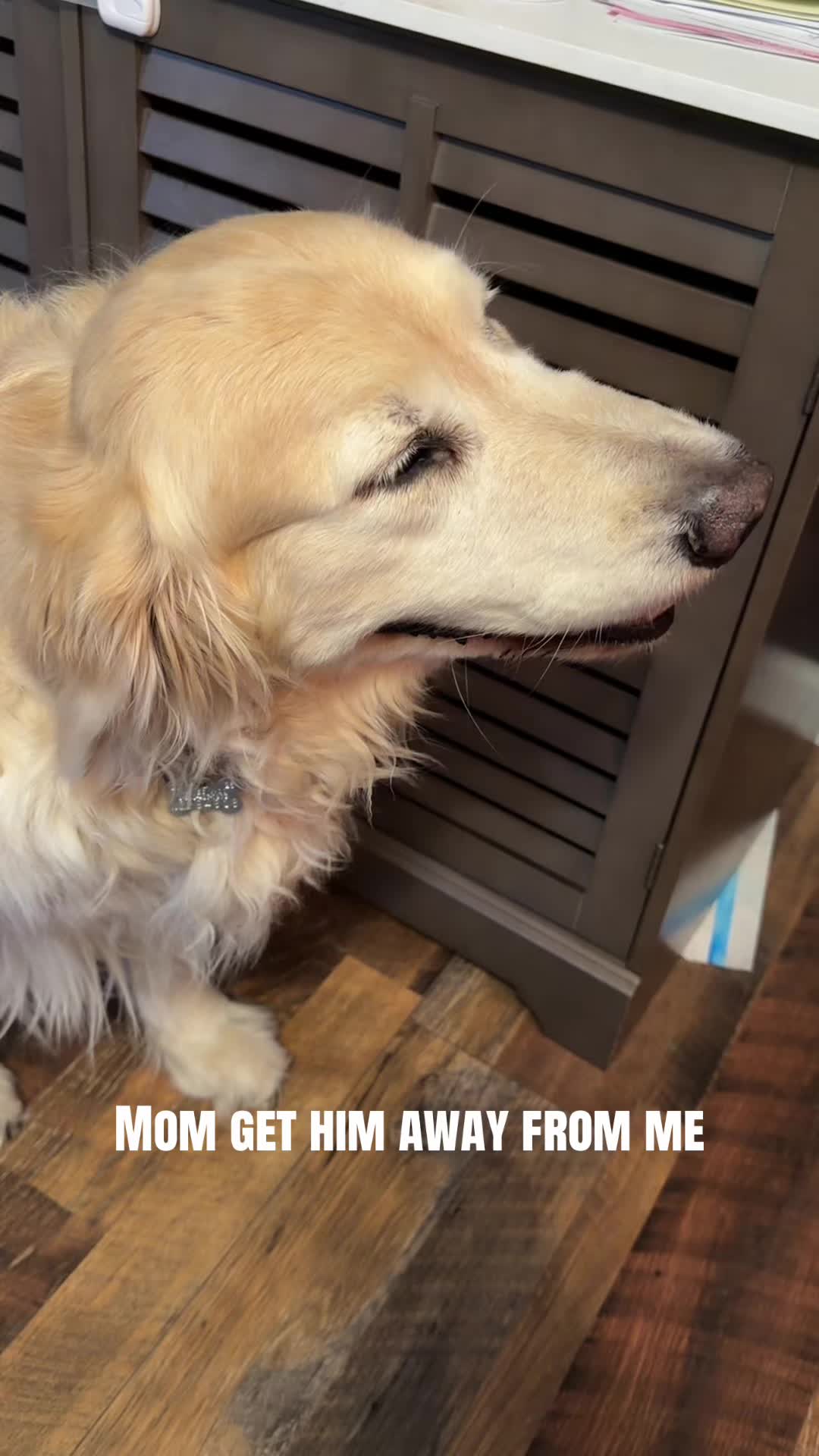 @Questionable.Sam