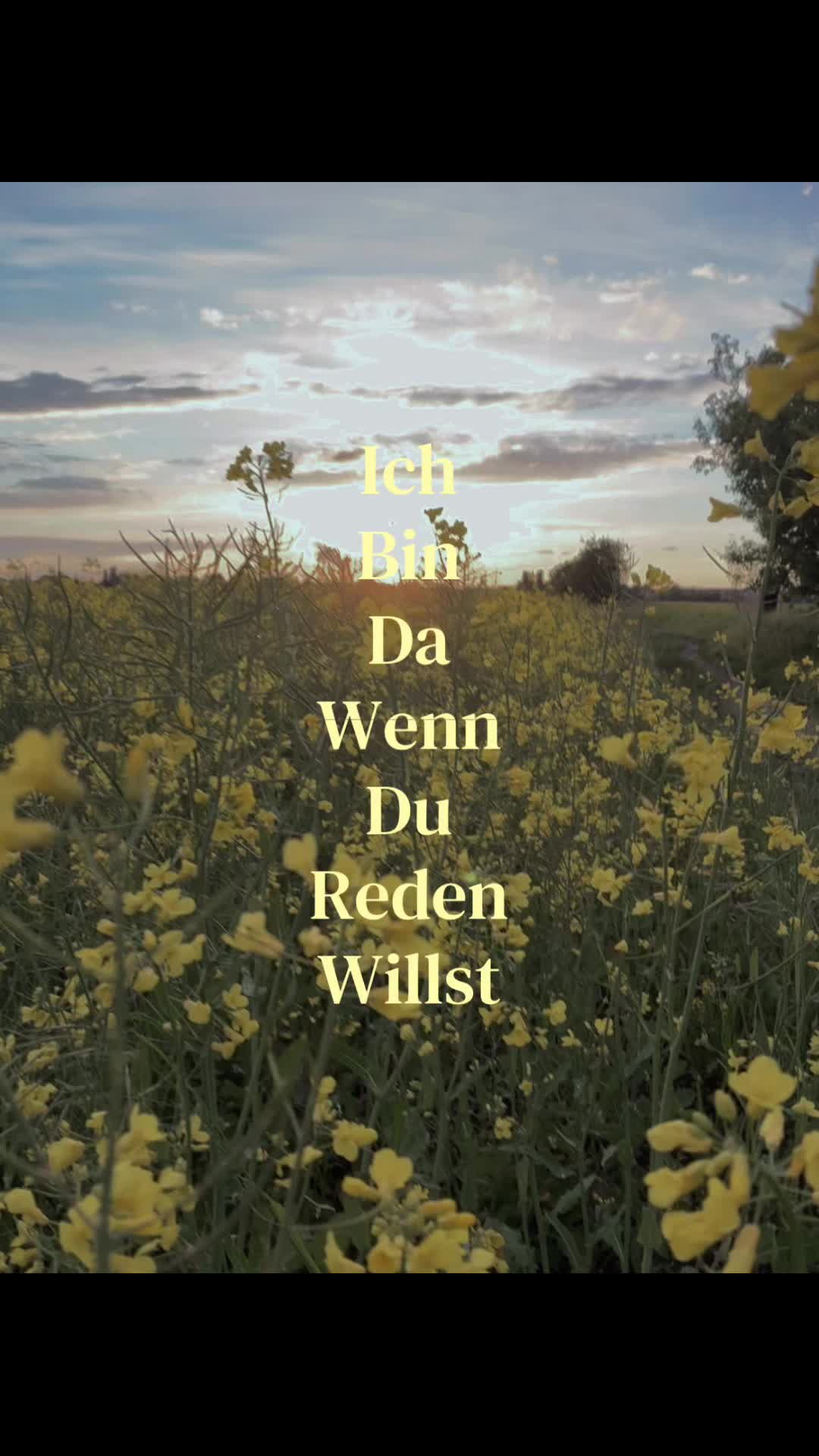 @Klara_bln ✞