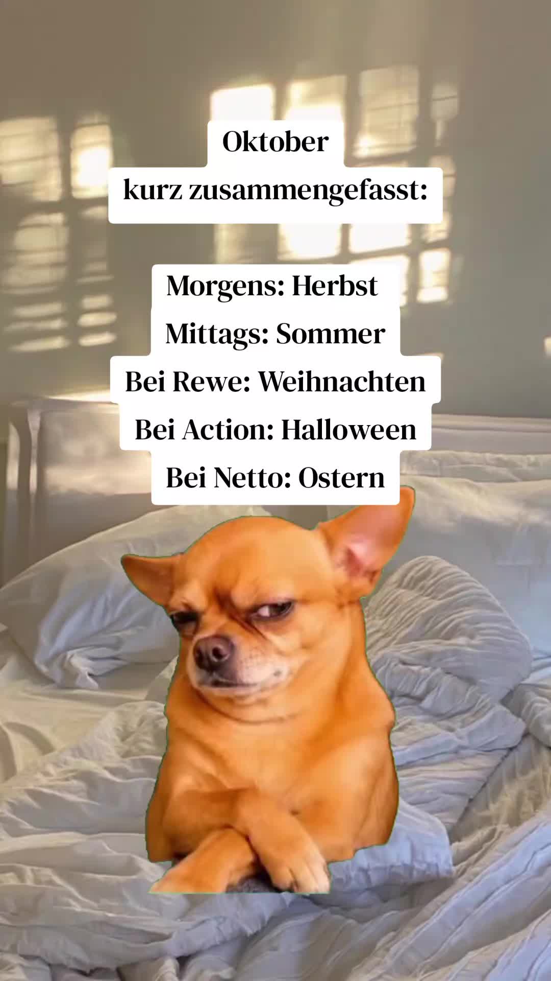 @Meme_Zentrale_