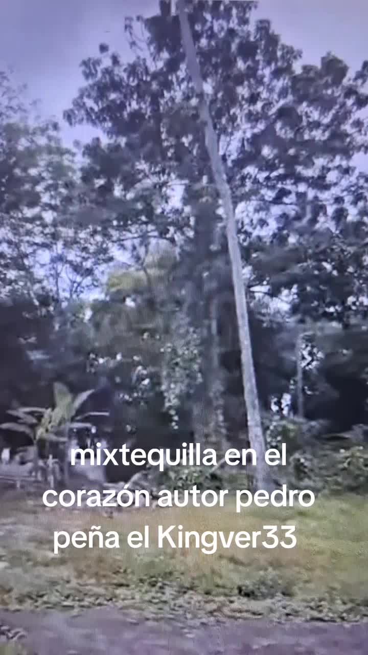 @kingver33