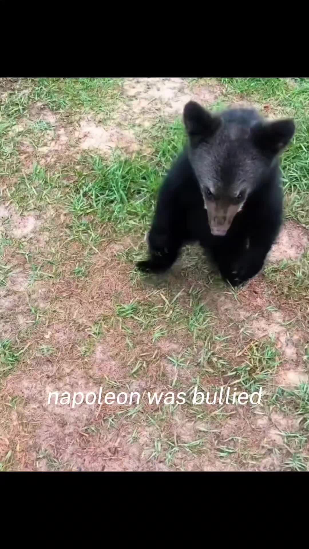 @Brandxn