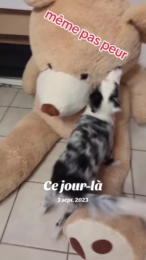 @mike un peu de tout