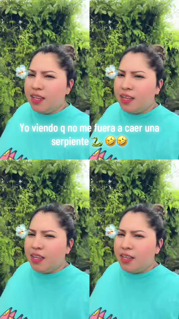 @Meilin504🇭🇳🦁🦁