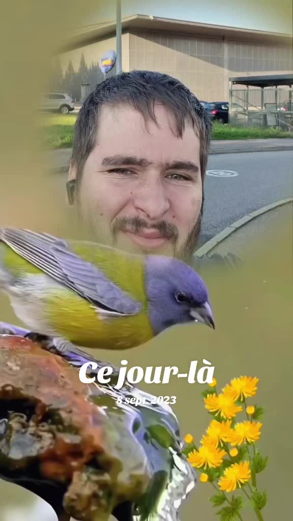 @Dav 54 💫