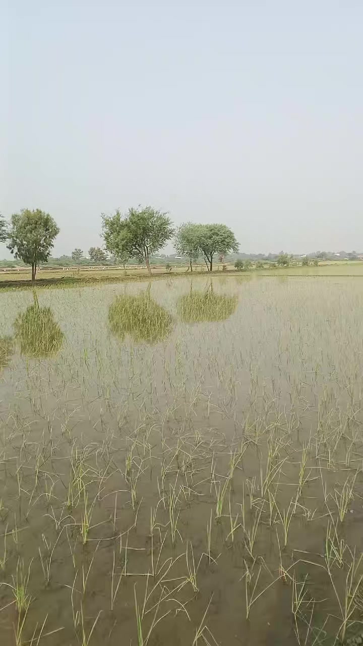 @Malik Tariq 512