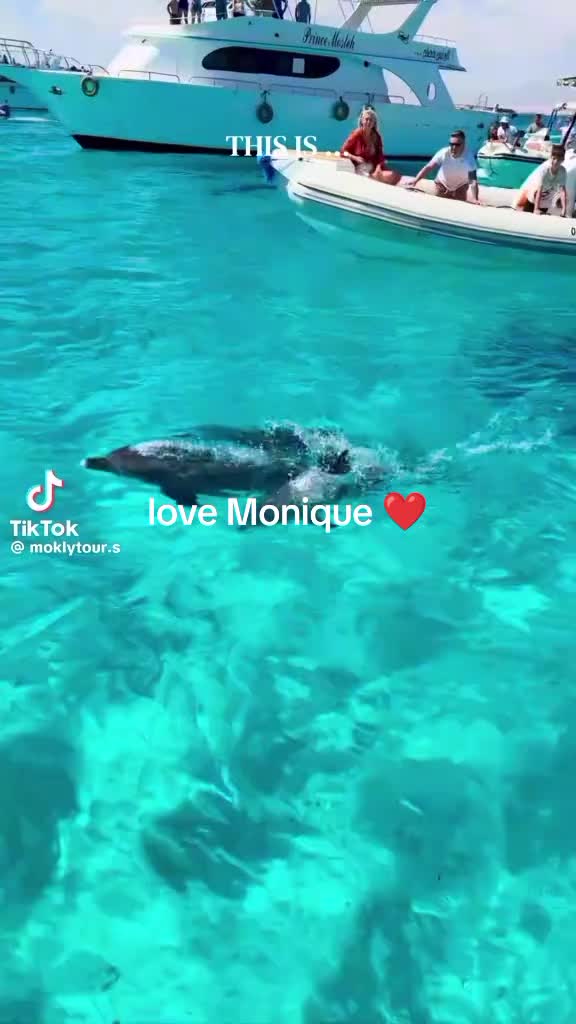 @Monique