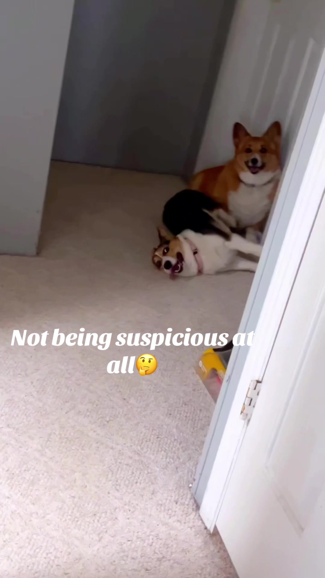 @Kim
