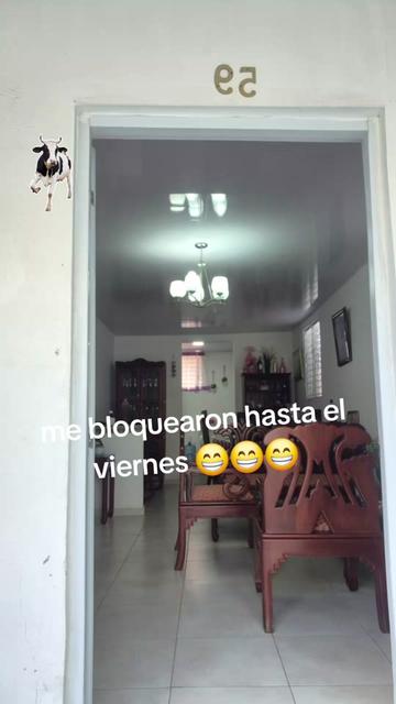 @Crystal Minaya