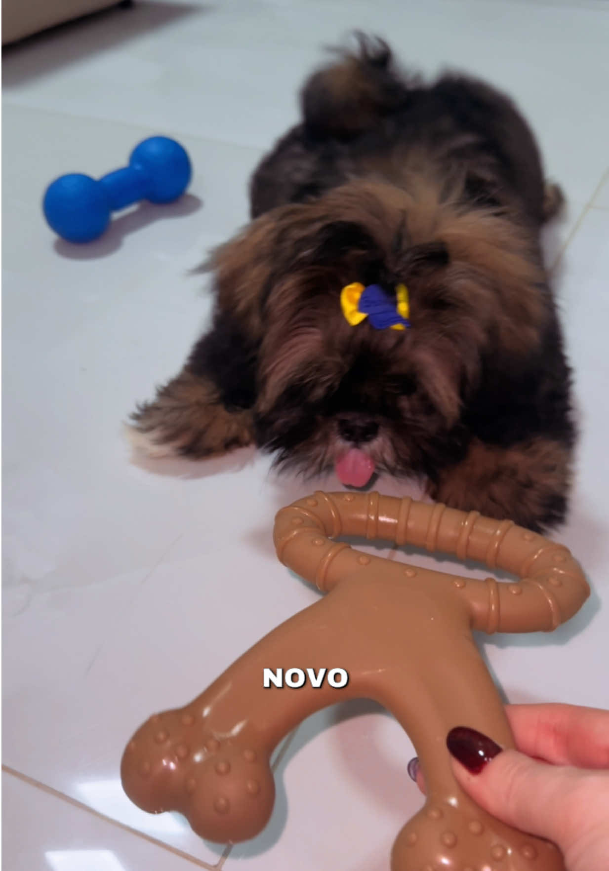 @Márcia | Dicas ✨️