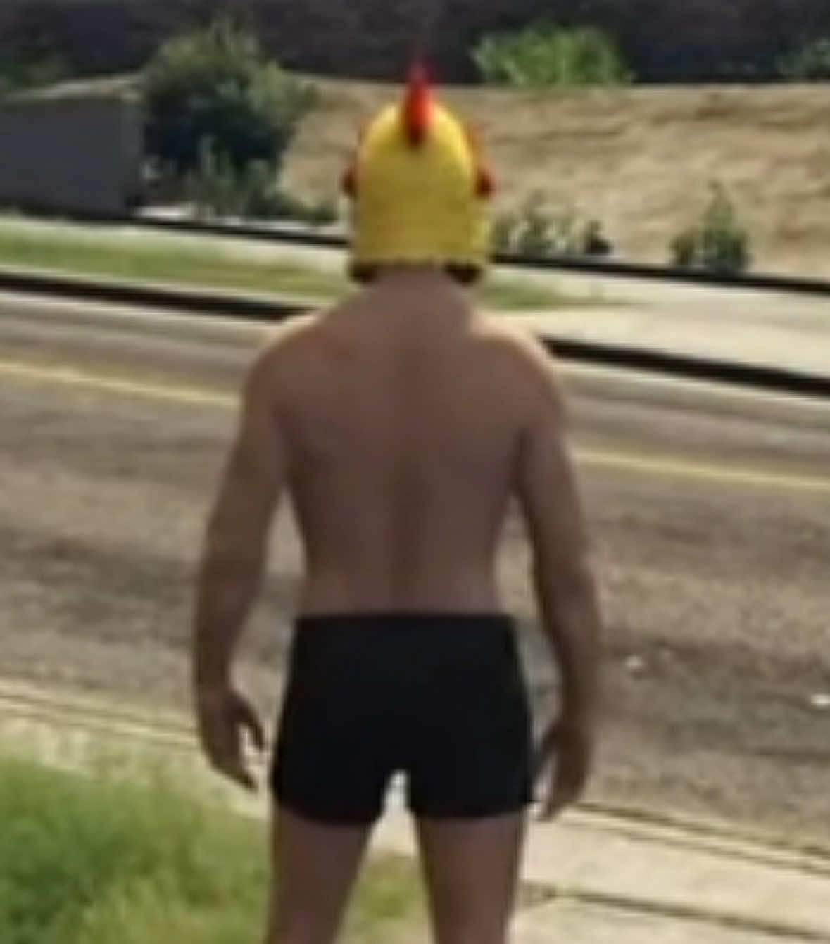 @atom_chicken