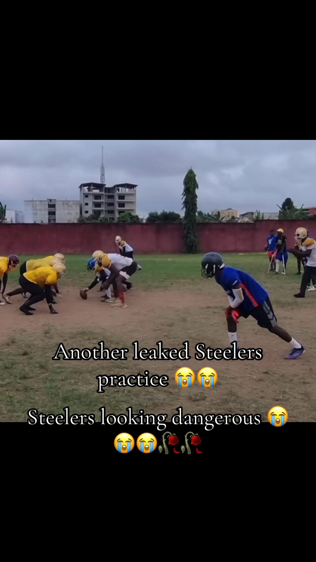 @tuxdontgiveafux