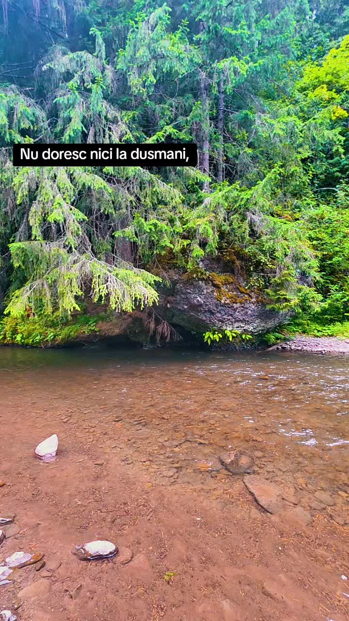 @Idei de melodii pentru TikTok