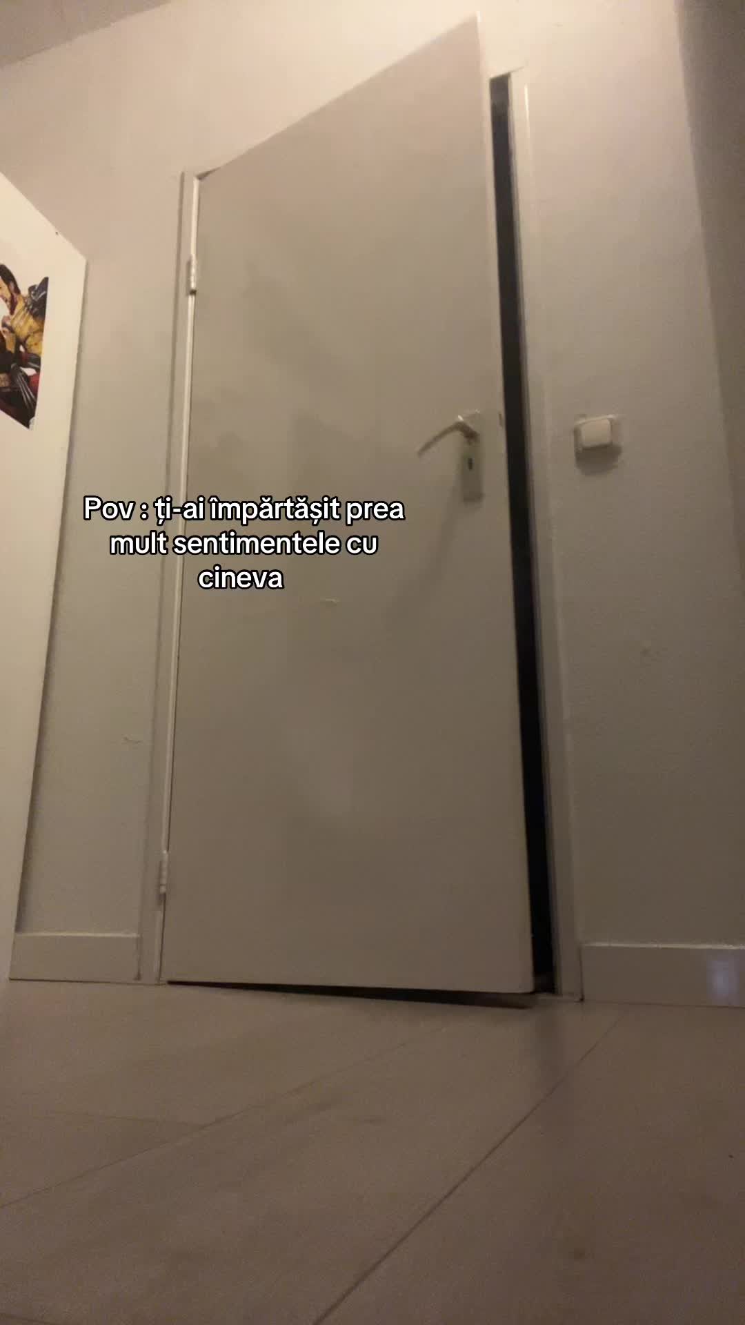 @saraaa_ 🇪🇸