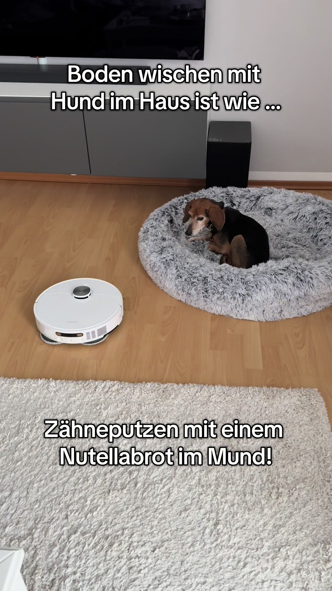 @Hundeurlaub.de