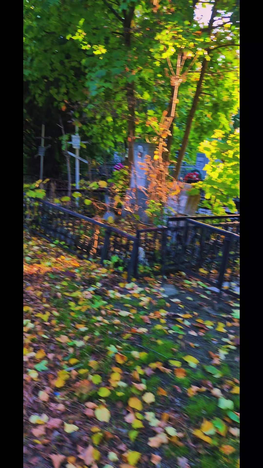 @𝒱𝑒𝒹𝓂𝒶🔮