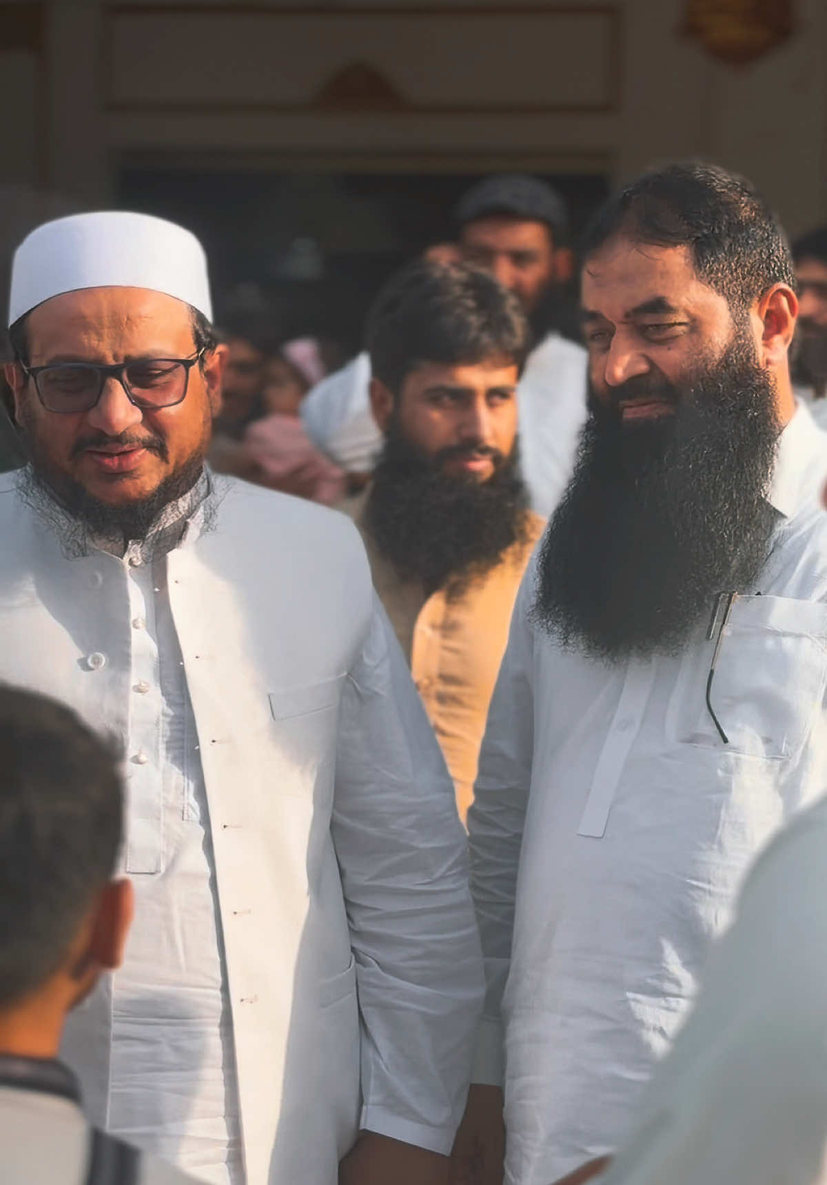 @پروفیسر حافظ محمد طلحہ سعید