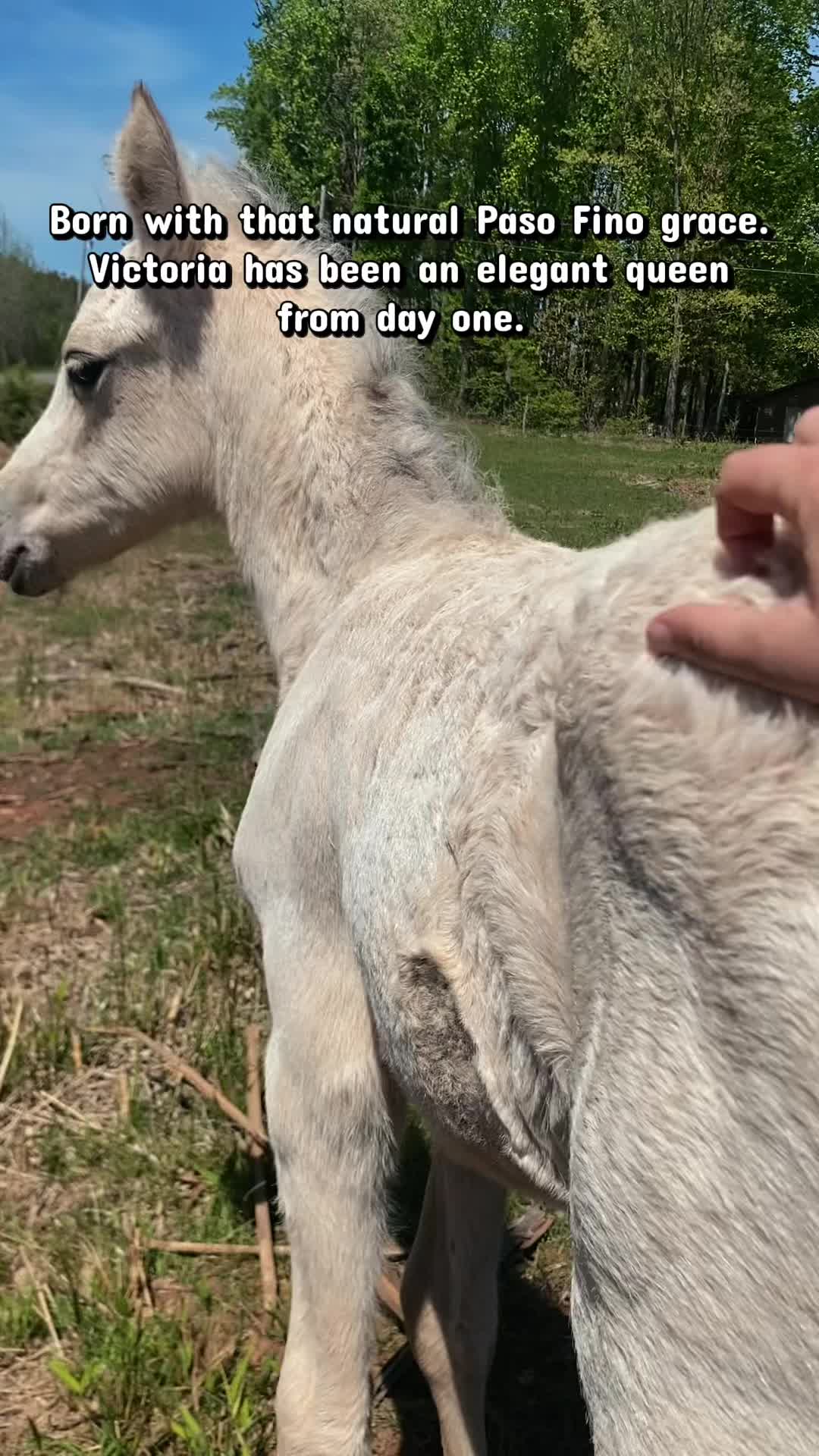 @SlowlaneFarm