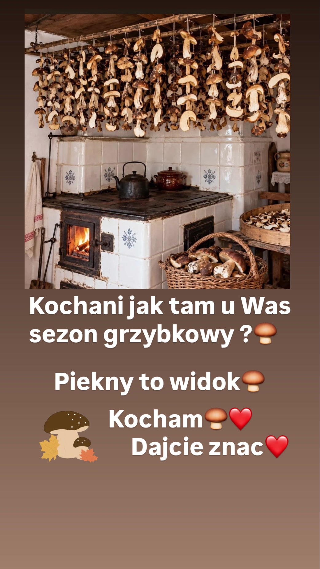 @Krysia i dawne czasy 🇵🇱🇺🇸