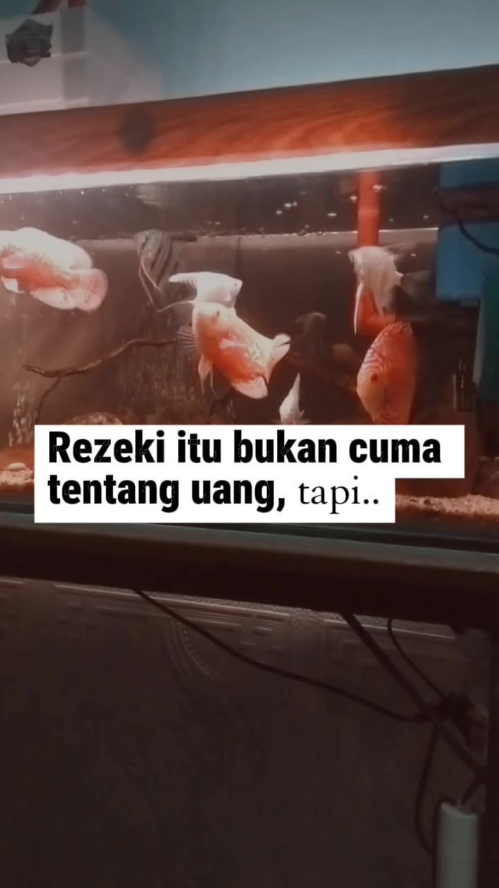 @griya buku haziq