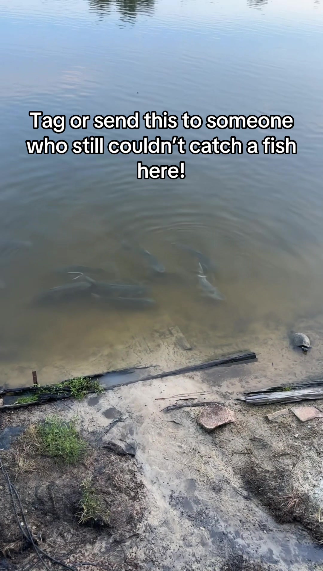 @Orange.Fishing