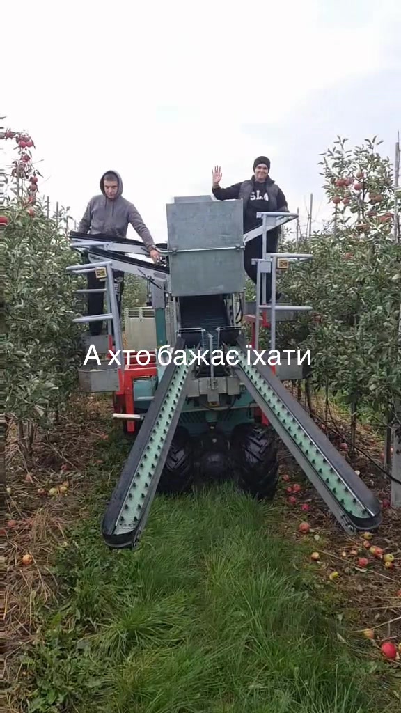 @Світлана