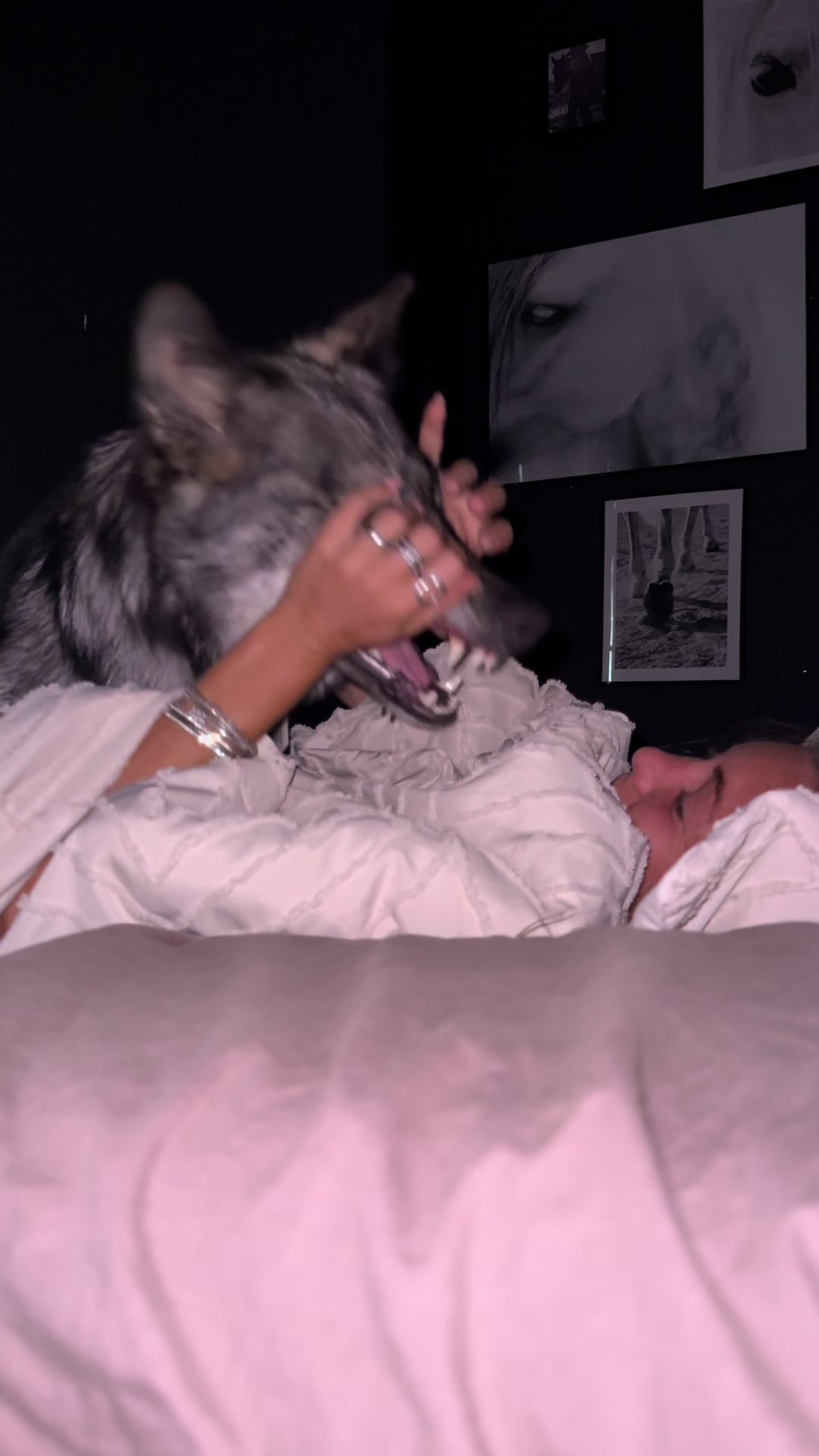 @Real_ArcaneWolfdog