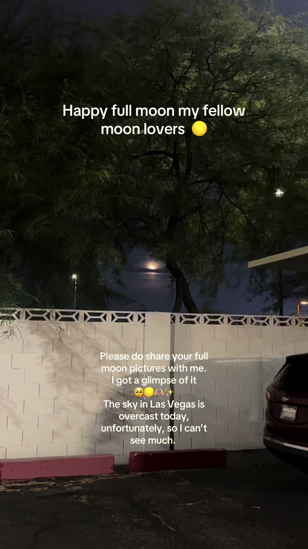 @Nona๐ฆ๐ณ๏ธ๐